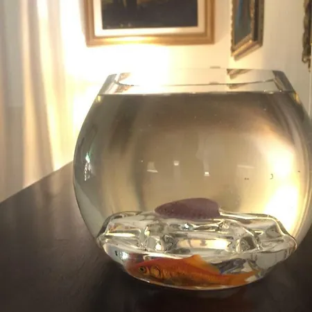 A Casa Di Giuseppe 2 Bed & Breakfast *