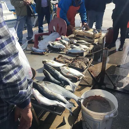 A Casa Di Giuseppe 2 Bed & Breakfast *