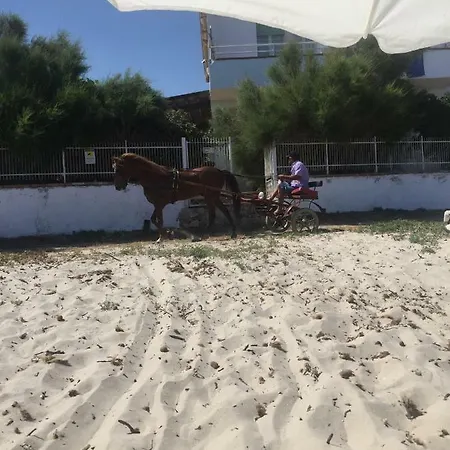 A Casa Di Giuseppe 2 * Carini