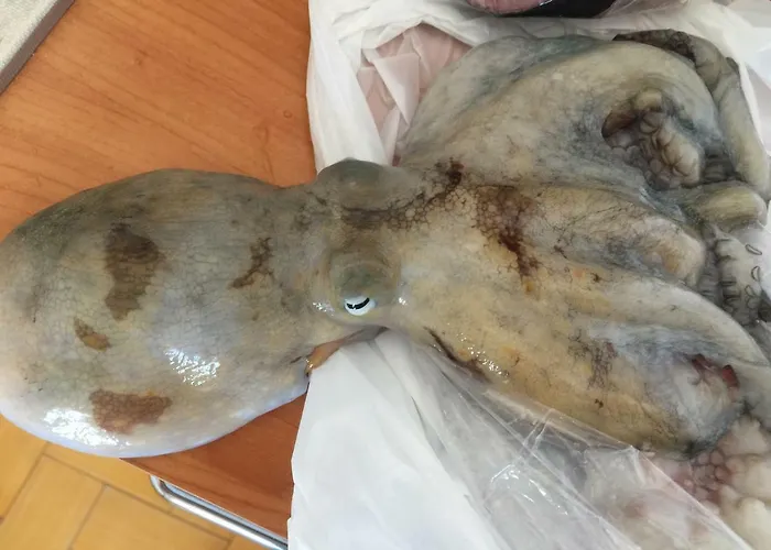 A Casa Di Giuseppe 2